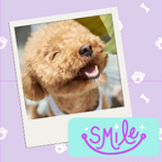smileydog