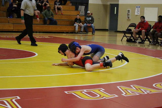 IMG-0224