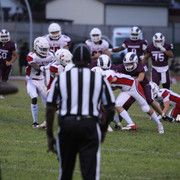IMG-3118