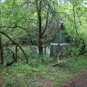 IMG-5897