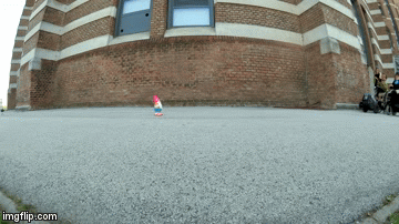 24z8lz.gif