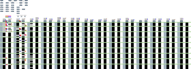 Daze-Stats