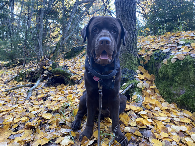 6-FA7-E4-CB-1484-4-F1-C-9-F07-ED91496770