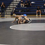 IMG-0229