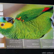 IMG-7737