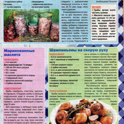 Page-00024
