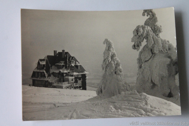 IMG-6459
