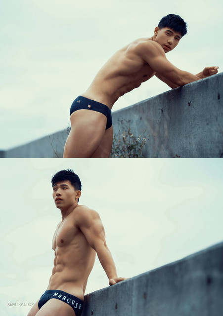 Troy-29