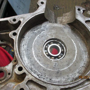 IMG-8255
