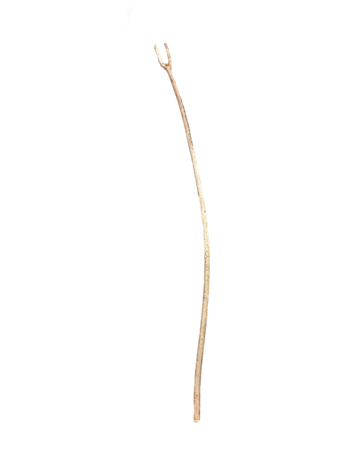 stick.png