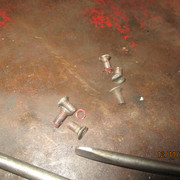 IMG-9239