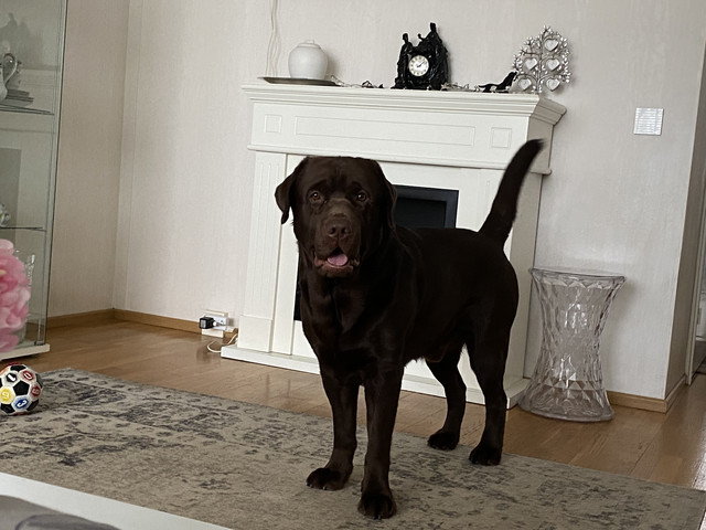 1-F389-D9-A-254-A-4-F81-9373-58-C48-AC8-