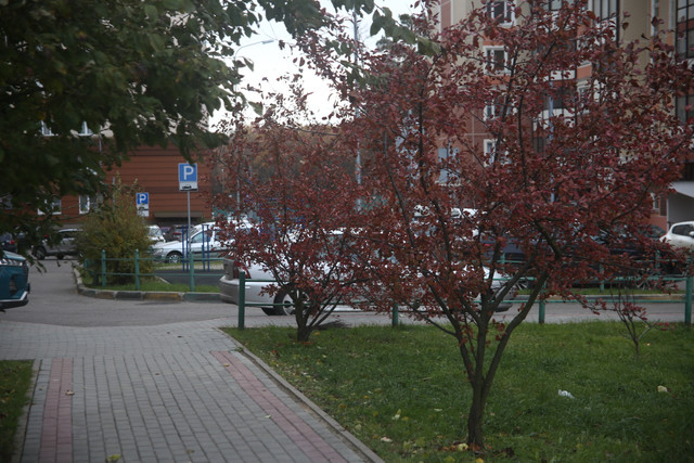 IMG-2069