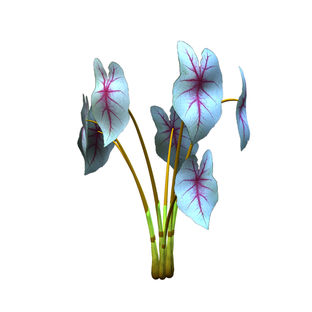 Twins72-Flower1