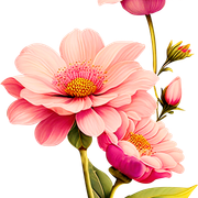 c1c0a195fbdf1f108815584f95c5f82a