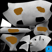 white cat2(1)3