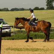 DSC03592