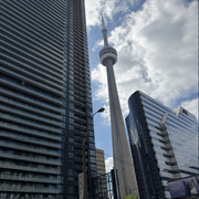 IMG 7142