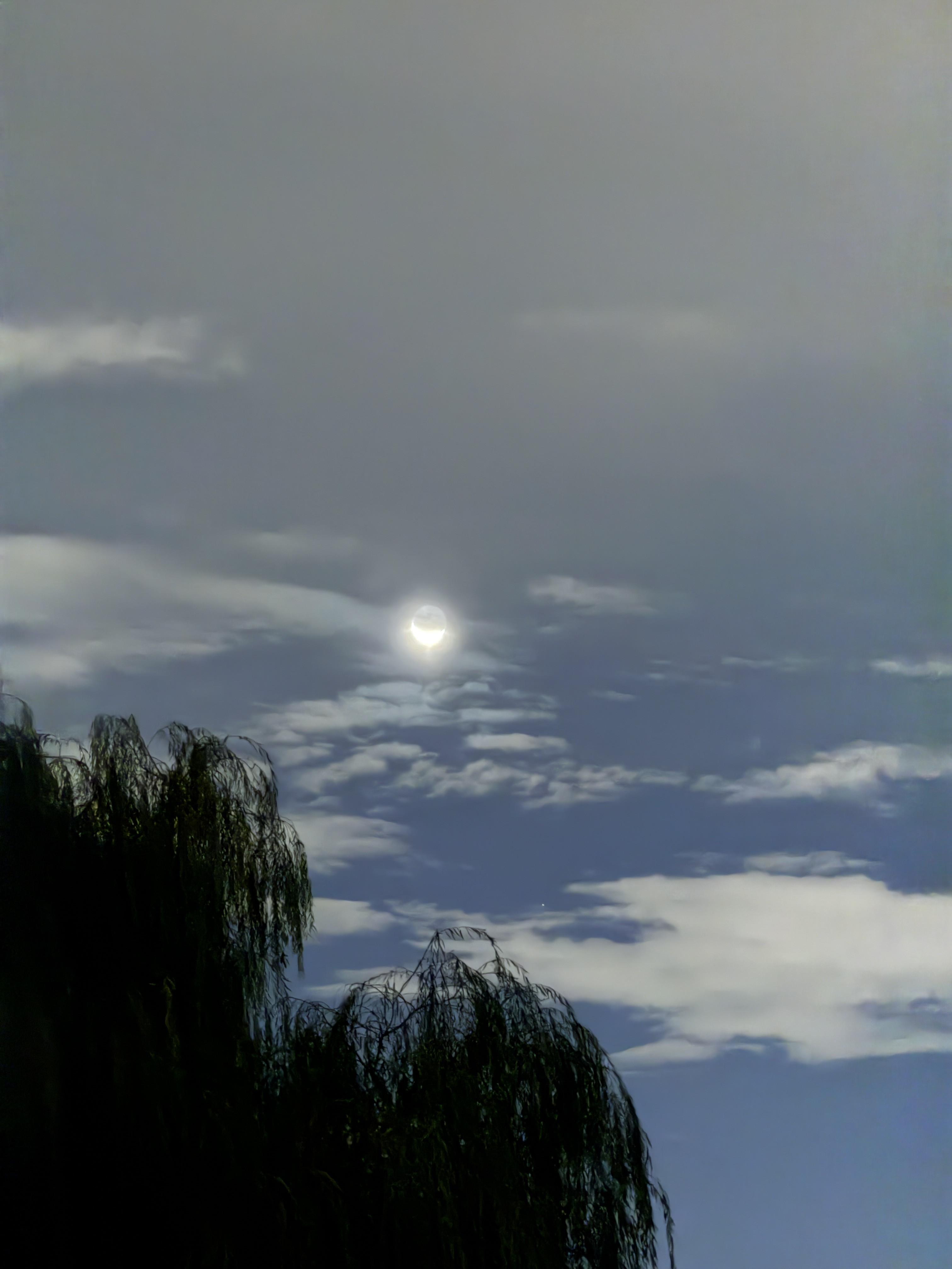 30+ лет в США. Заметки русско-американского пенсионера.