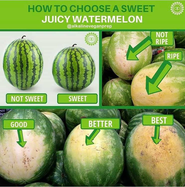 W Choose watermelon