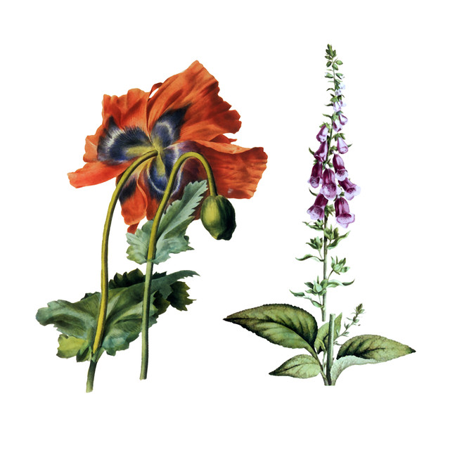 shutterstock 1496162267.jpg