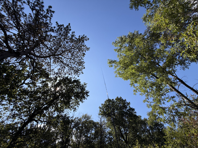IMG 3455.jpg