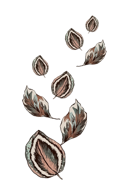 5a616ce3002f73fb536bd86b496439e9.png