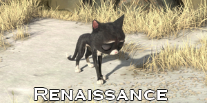renaissance-13.png
