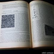 IMG-5407