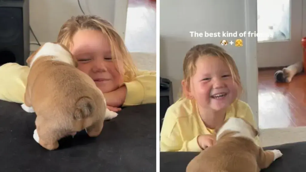 Sweet Bond of Friendship Between a Toddler and a Bulldog
