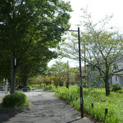 P1350300