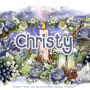 Christy 4973B