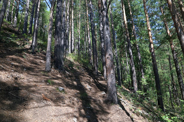 IMG 0389.jpg