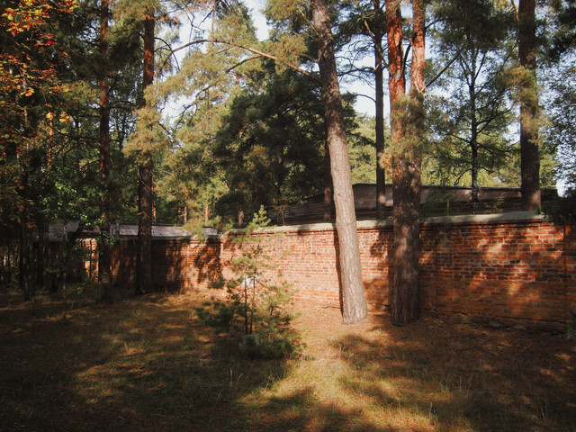 IMG 8018 2.jpg