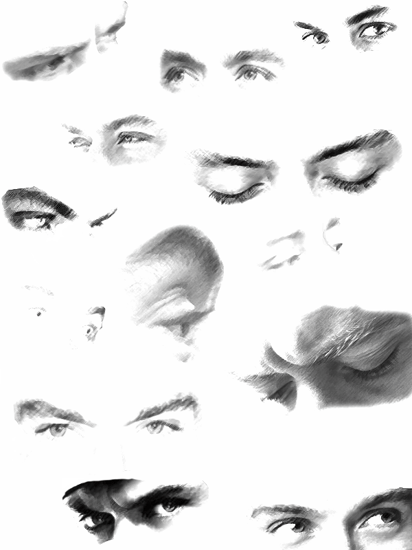 15331-800