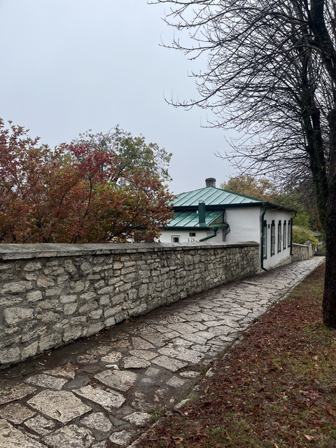 IMG-7163
