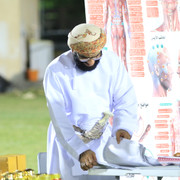 IMG 8796