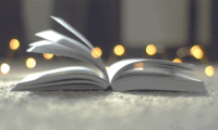 https://i.ibb.co/MkKkcPcq/ezgif-22f47d7bf1690e87.gif