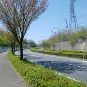 DSC-0041