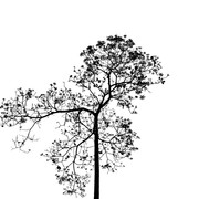 shutterstock 655903846