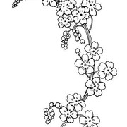 01-1504