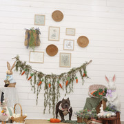 IMG-7416