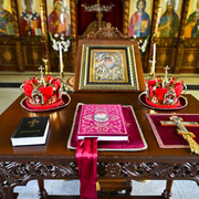 Pic 15