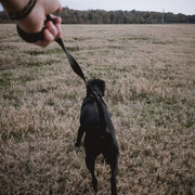 IMG 8321