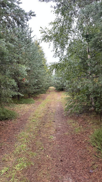 IMG 5096.jpg