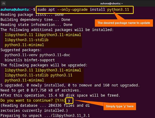 Installing Python