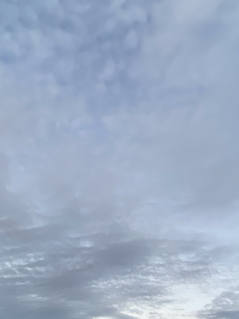 IMG 0226.jpg