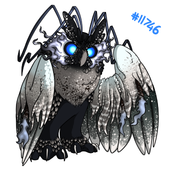 Pet Image