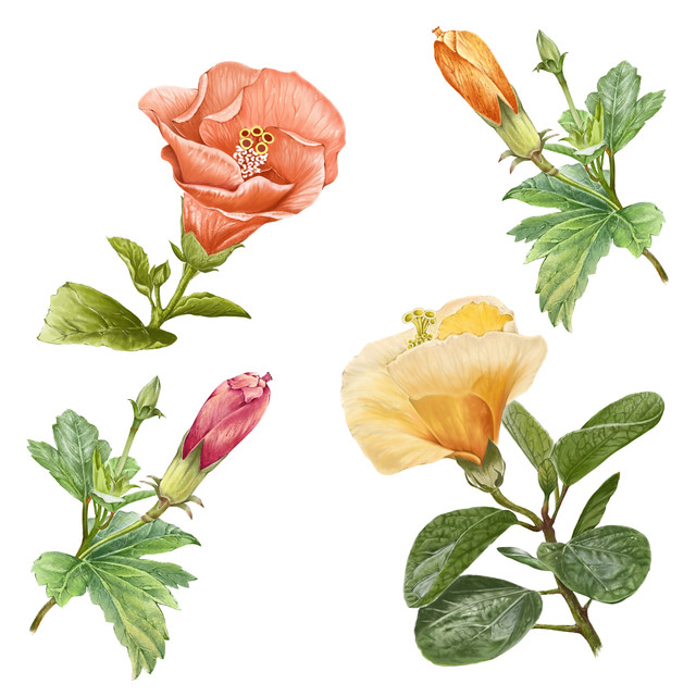 shutterstock 441175726.jpg
