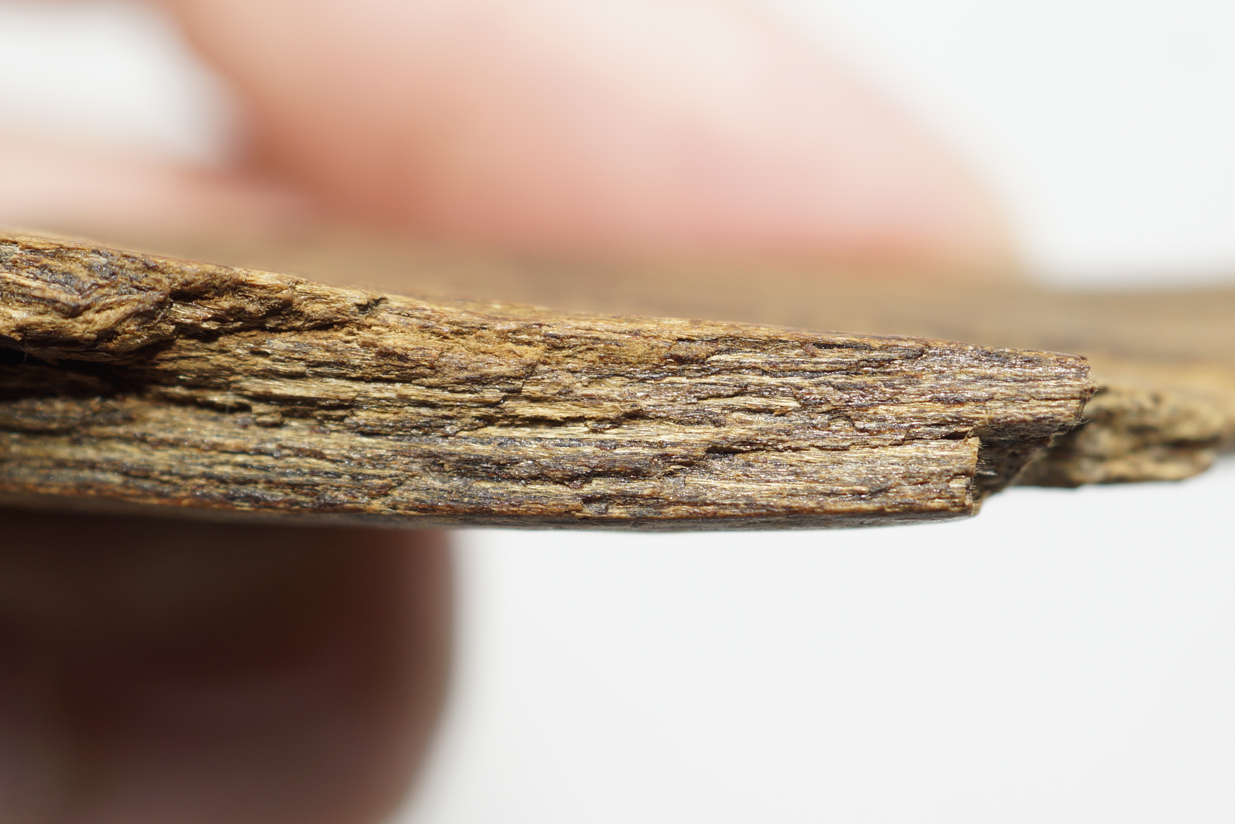 [Ouddict.com] Oud Photos